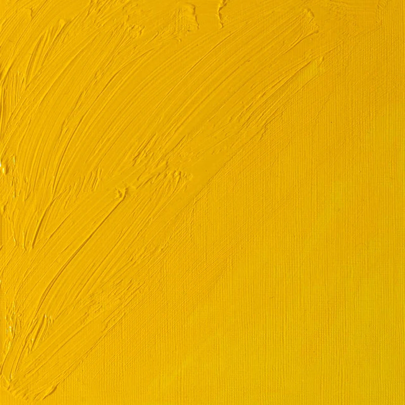 Winsor & Newton Artists' Oil Paint