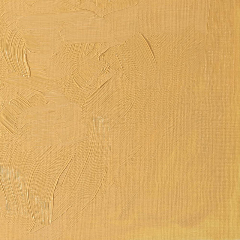 Winsor & Newton Artists' Oil Paint