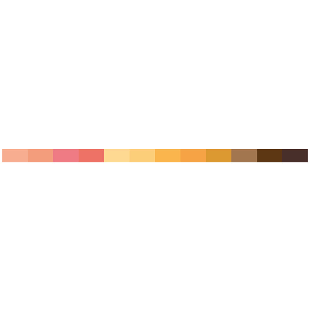 Karin Pigment Decobrush Nude Colors Collection | 12 colors