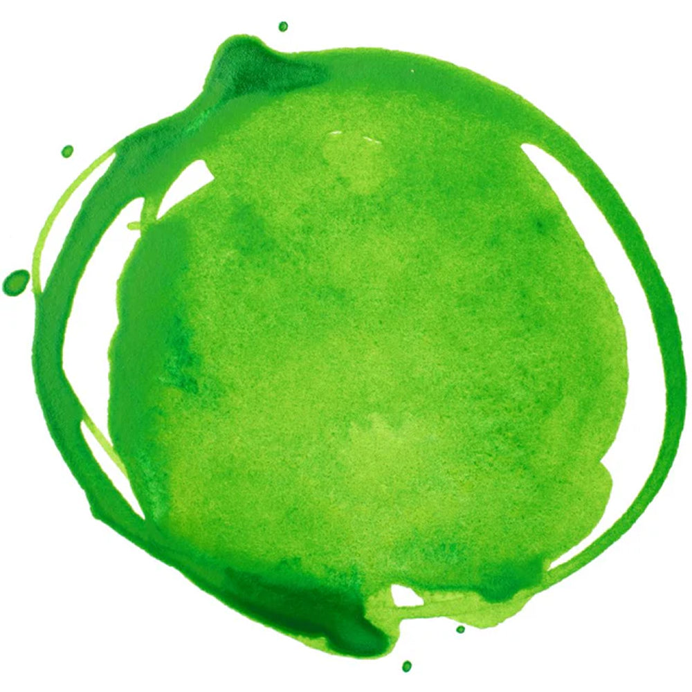 Liquitex Professional Acrylic Ink