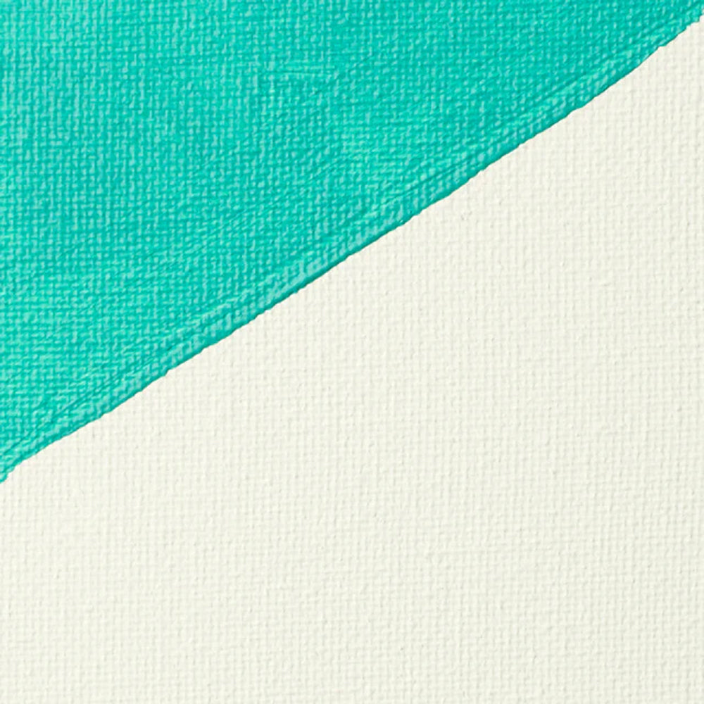 Liquitex Professional Gesso Primer