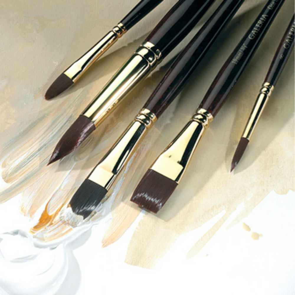 Winsor & Newton Galeria Filbert Brush