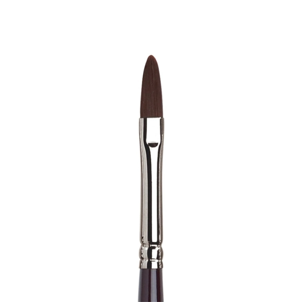 Winsor & Newton Galeria Filbert Brush