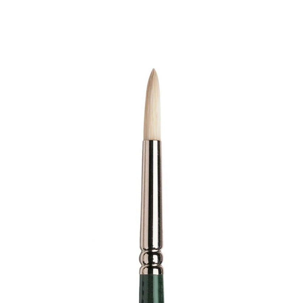 Winsor & Newton Winton Hog Round Brush