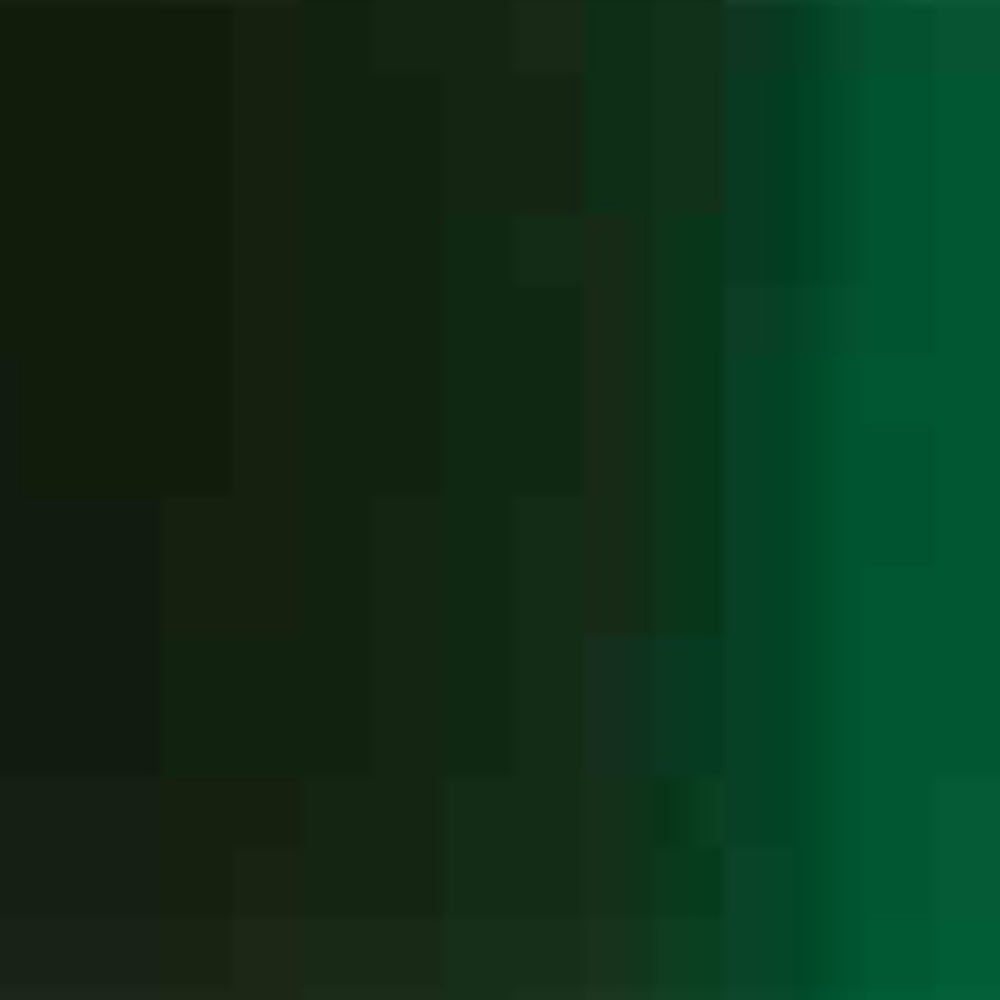 Holbein Acrylic Ink in Bottles