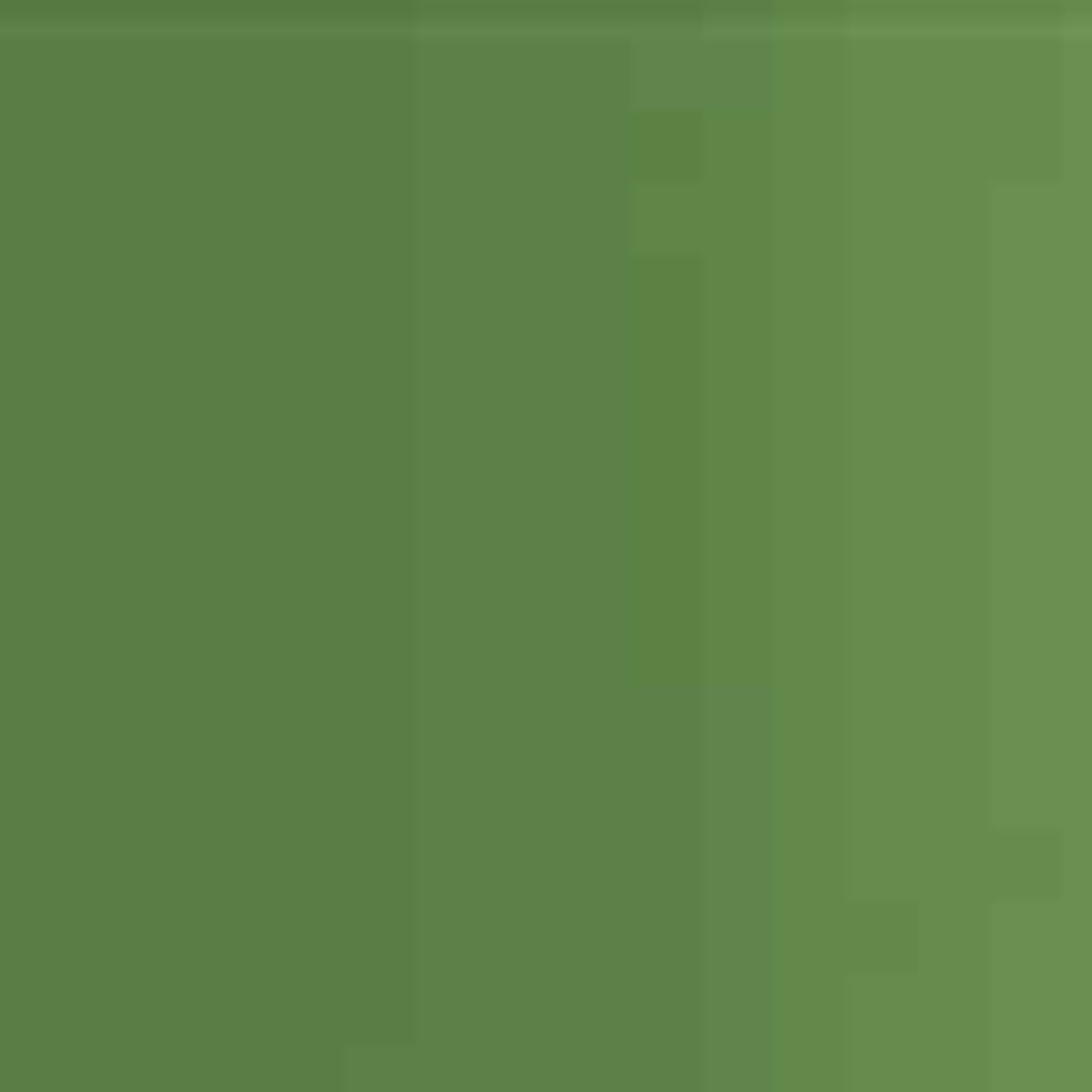 Holbein Acrylic Ink in Bottles