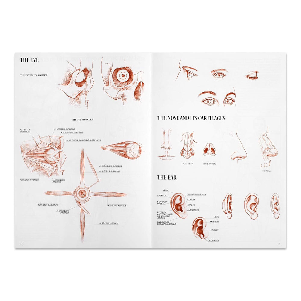 Leonardo Collection Drawing Learning Book - Anatomy