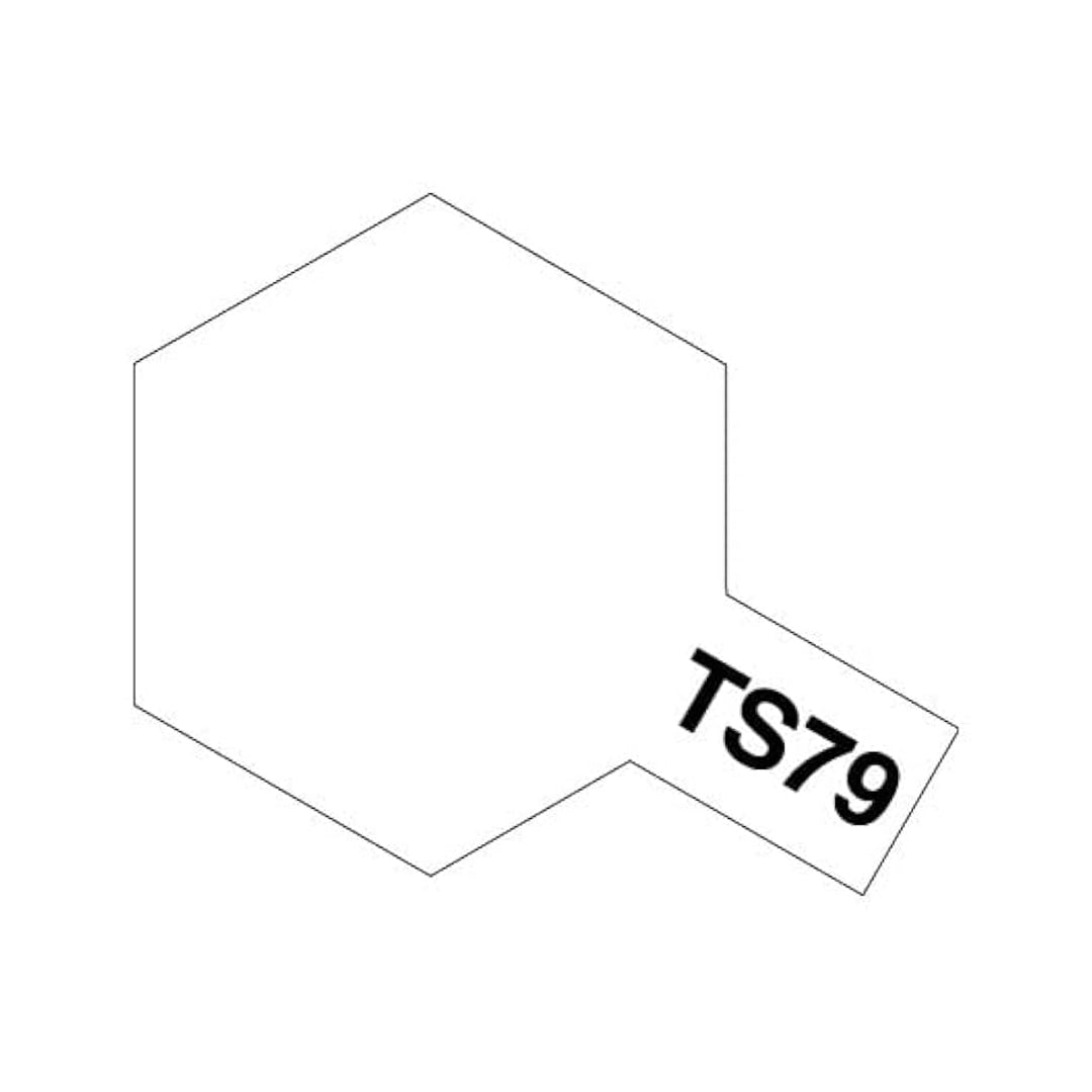 Tamiya Spray Paint for Plastics, 100 ml