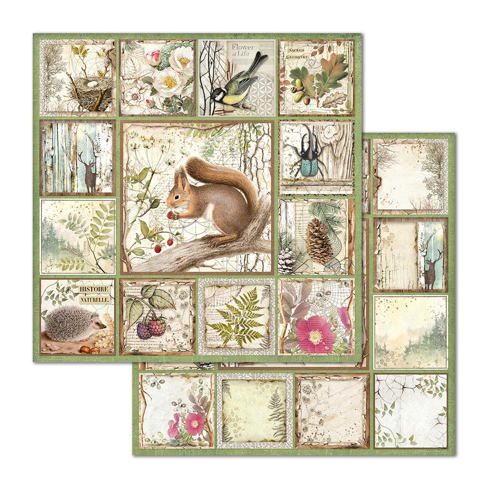 Stamperia Double-Sided Scrapbooking Paper Set - Forest, 10 units