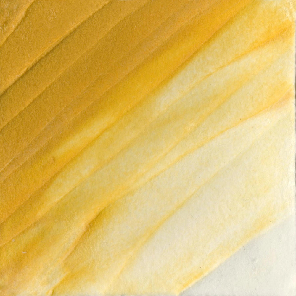 Golden Light Molding Paste