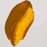 Rembrandt Oil Paint