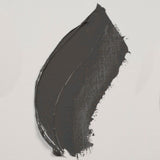 Rembrandt Oil Paint