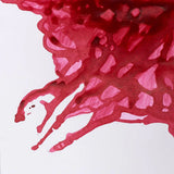 Winsor & Newton Drawing Ink