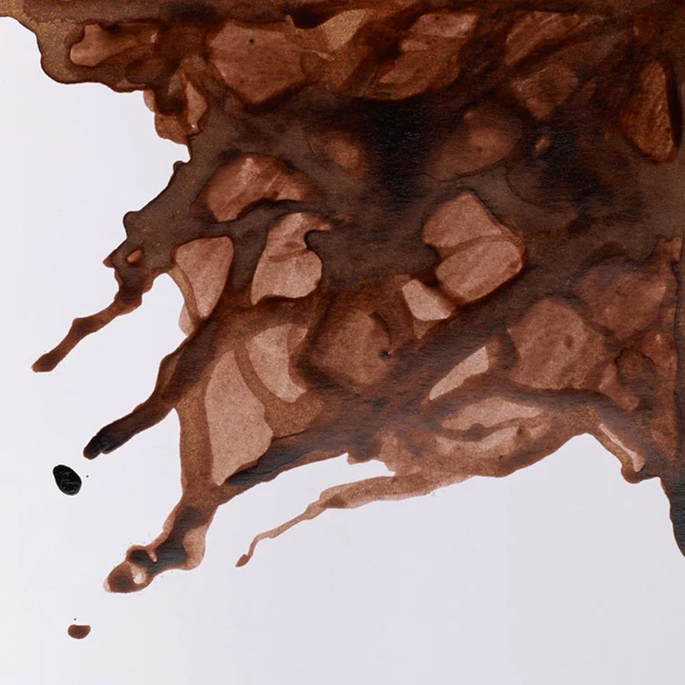 Winsor & Newton Drawing Ink