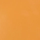 Liquitex Heavy Body Acrylic Paint