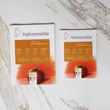 Hahnemühle Velour Coloured Paper for Pastels, 10 Sheets, 260 gsm