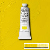 Winsor & Newton Artists' Oil Paint