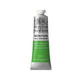 Winsor & Newton Winton Oil Paint, 37 ml