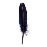 Jacques Herbin Goose Quill, Navy Blue