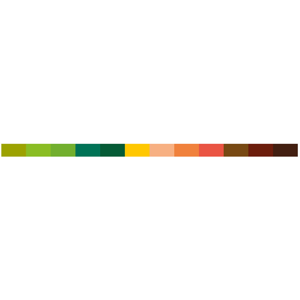 Karin Pigment Decobrush Nature Colors Collection | 12 colors