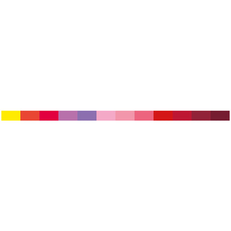 Karin Pigment Decobrush Passion Colors Collection | 12 colors