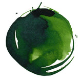 Liquitex Professional Acrylic Ink