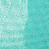 Liquitex Professional Matte Varnish