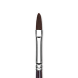 Winsor & Newton Galeria Filbert Brush