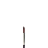 Winsor & Newton Galeria Round Brush