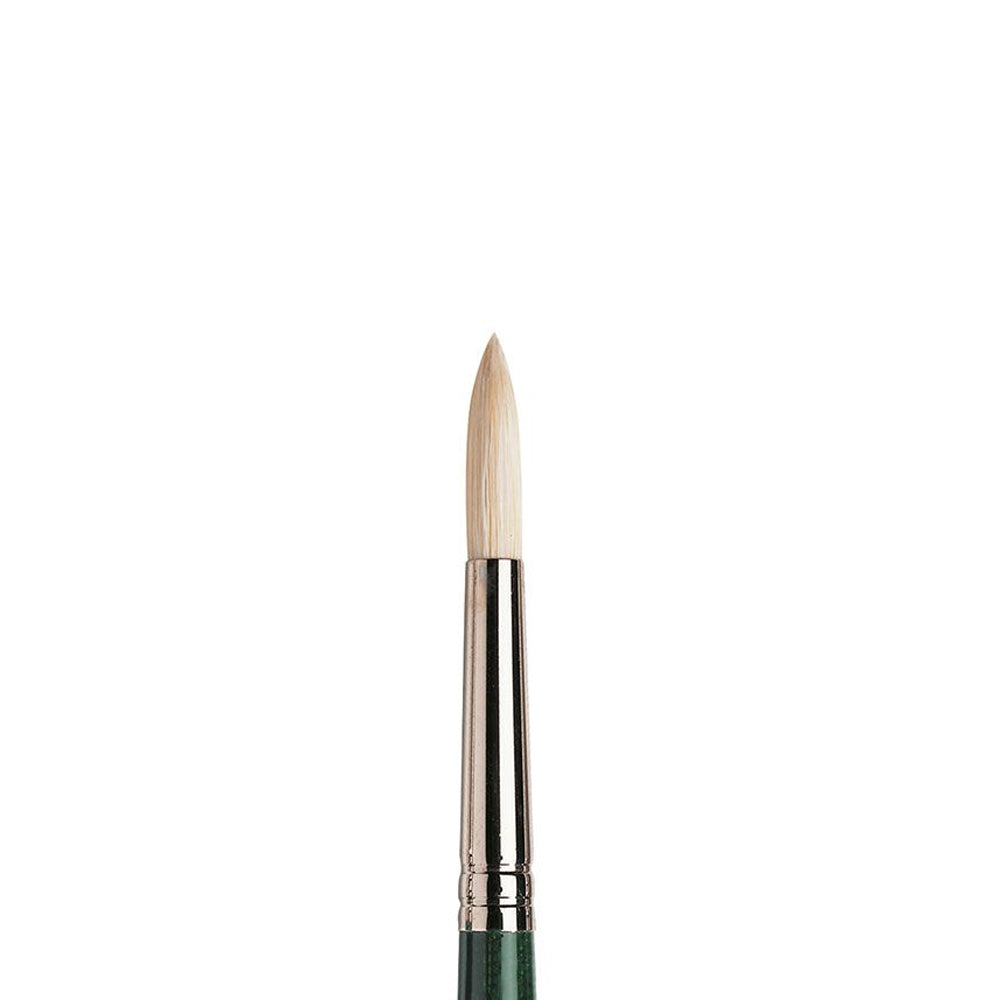 Winsor & Newton Winton Hog Round Brush