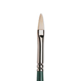 Winsor & Newton Winton Hog Filbert Brush