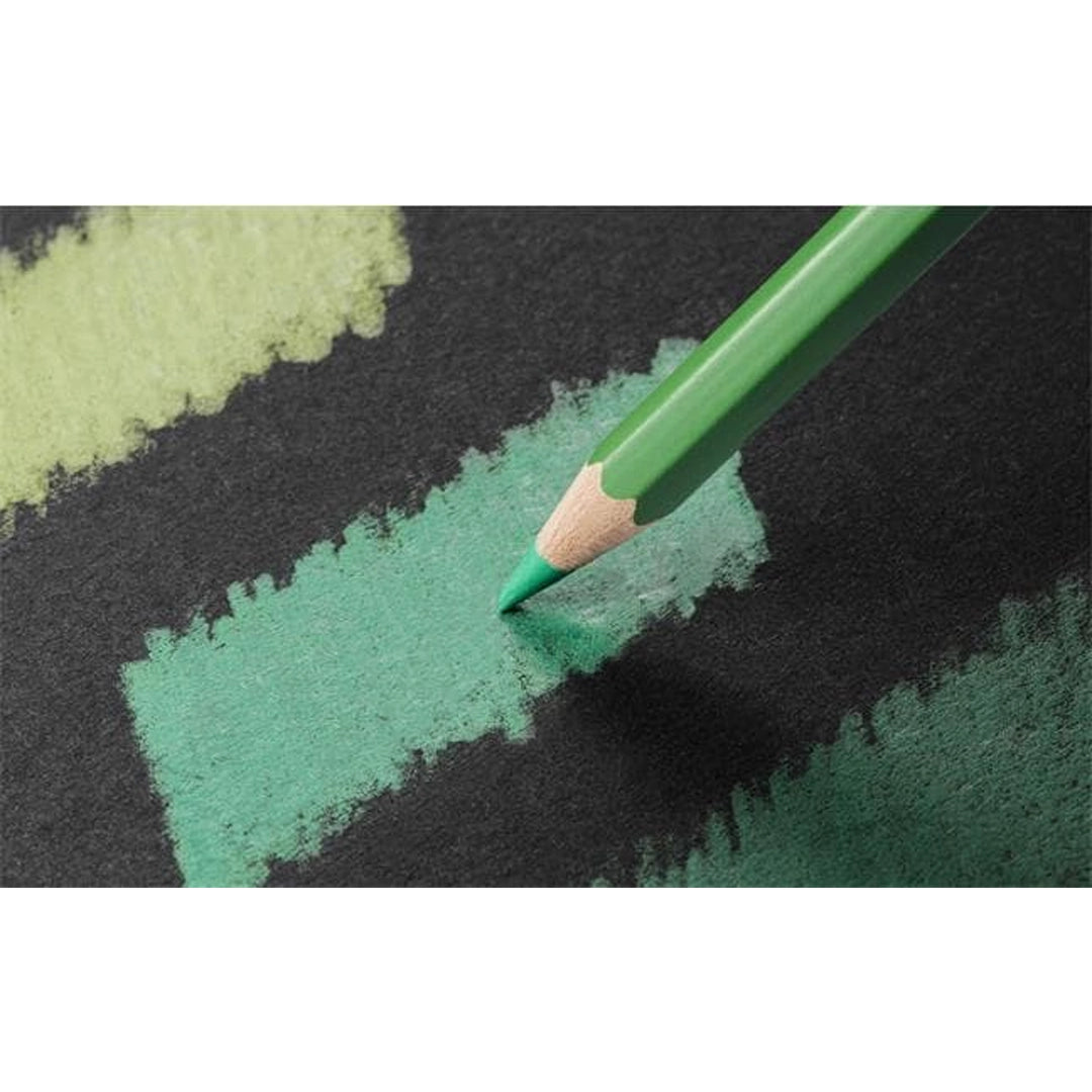Caran d'Ache PABLO Colored Pencils Set of 18