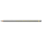 Caran d'Ache PABLO Colored Pencils