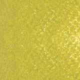 Caran d'Ache Neopastel Oil Pastel