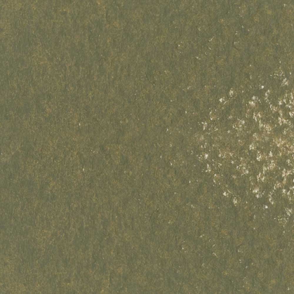 Caran d'Ache Neopastel Oil Pastel