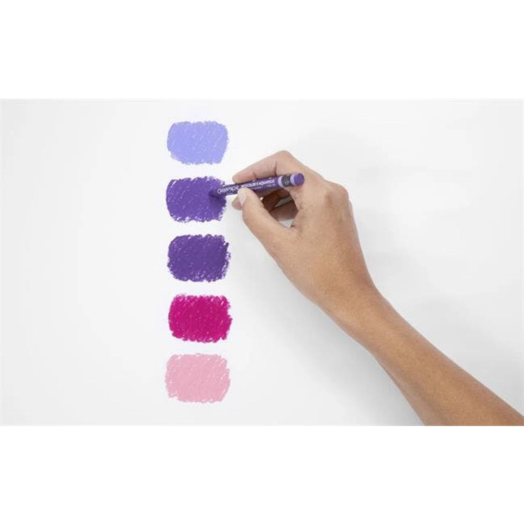 Caran d'Ache NEOCOLOR Water-Soluble Wax Oil Pastels Set of 40
