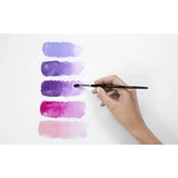 Caran d'Ache NEOCOLOR Water-Soluble Wax Oil Pastels Set of 10
