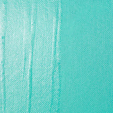 Liquitex Professional Satin Varnish