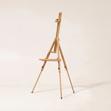 MEEDEN Tripod Plein Air Painting Easel with Carrying Case