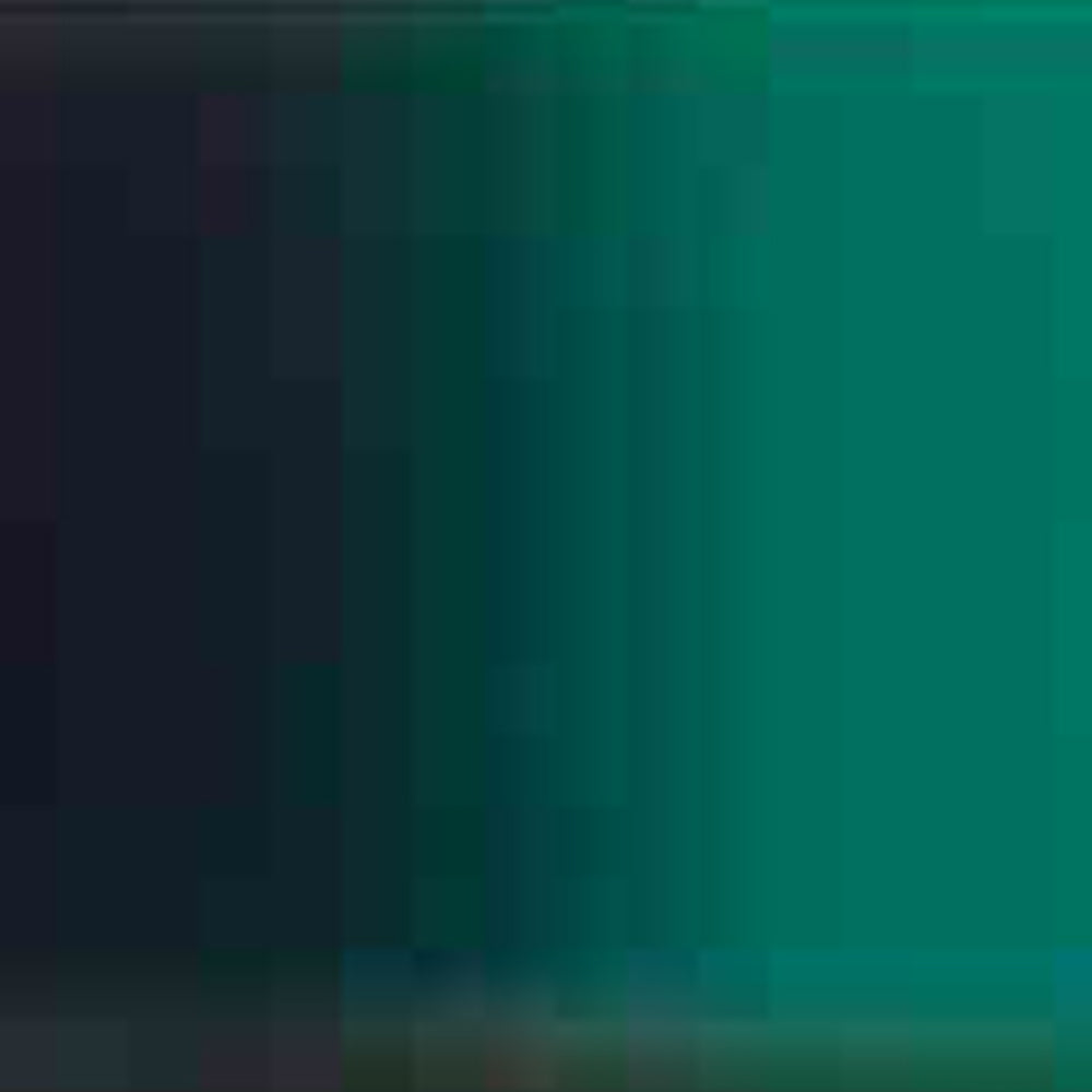 Holbein Acrylic Ink in Bottles