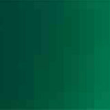 Holbein Acrylic Ink in Bottles