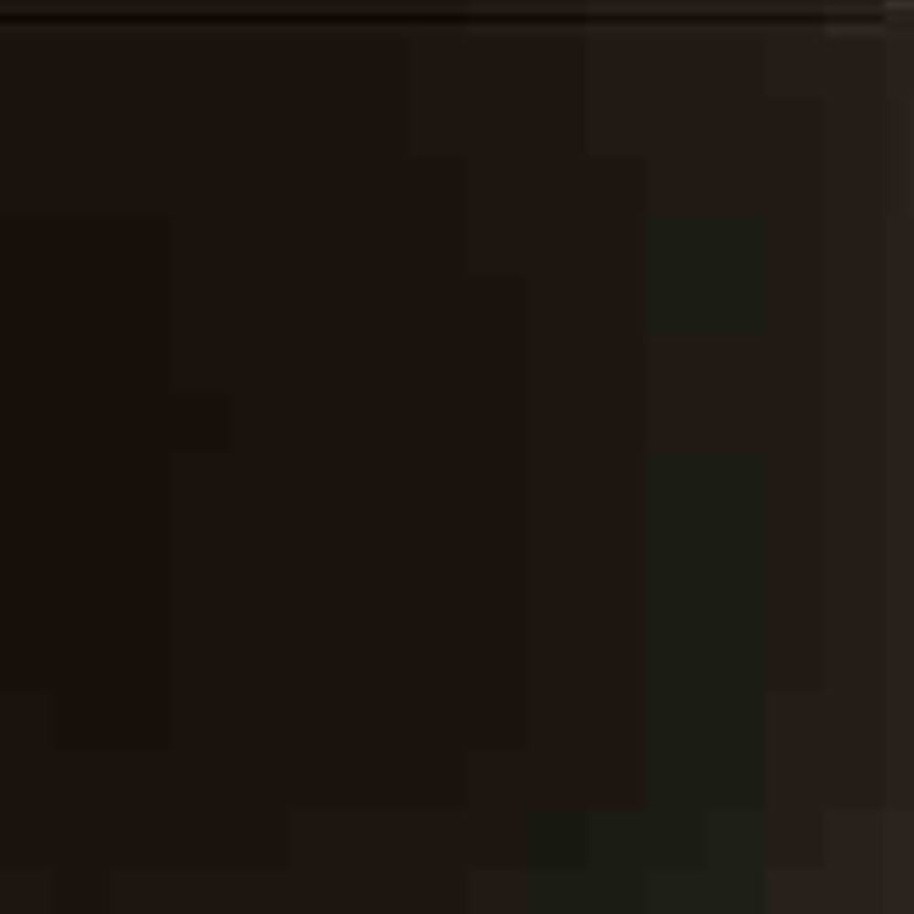 Holbein Acrylic Ink in Bottles