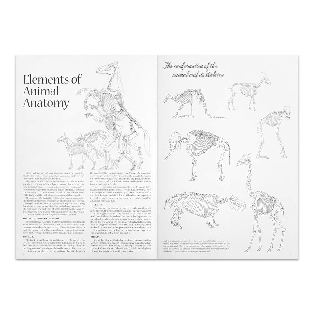 Leonardo Collection Drawing Learning Book - Animals