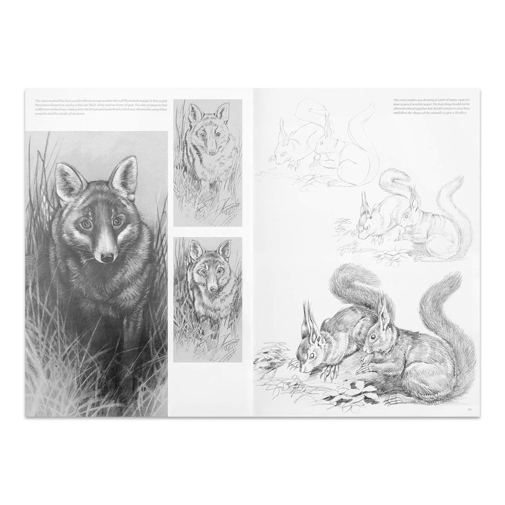 Leonardo Collection Drawing Learning Book - Animals