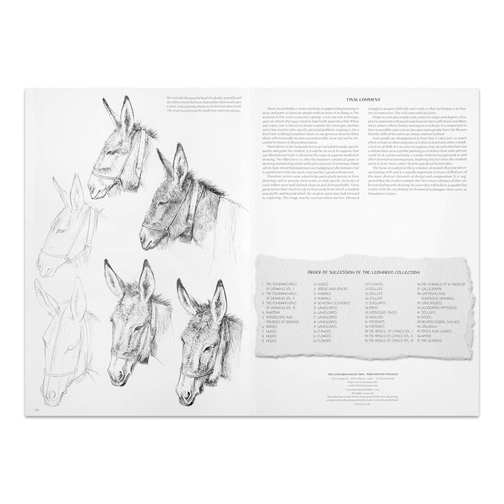 Leonardo Collection Drawing Learning Book - Animals