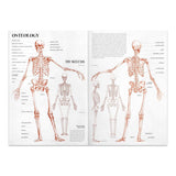 Leonardo Collection Drawing Learning Book - Anatomy