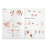 Leonardo Collection Drawing Learning Book - Anatomy