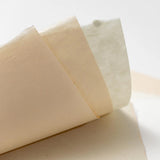 Awagami Editioning Japanese Paper Sample Pack, 10 Types, 20 Sheets