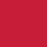Jacquard Acid Dye