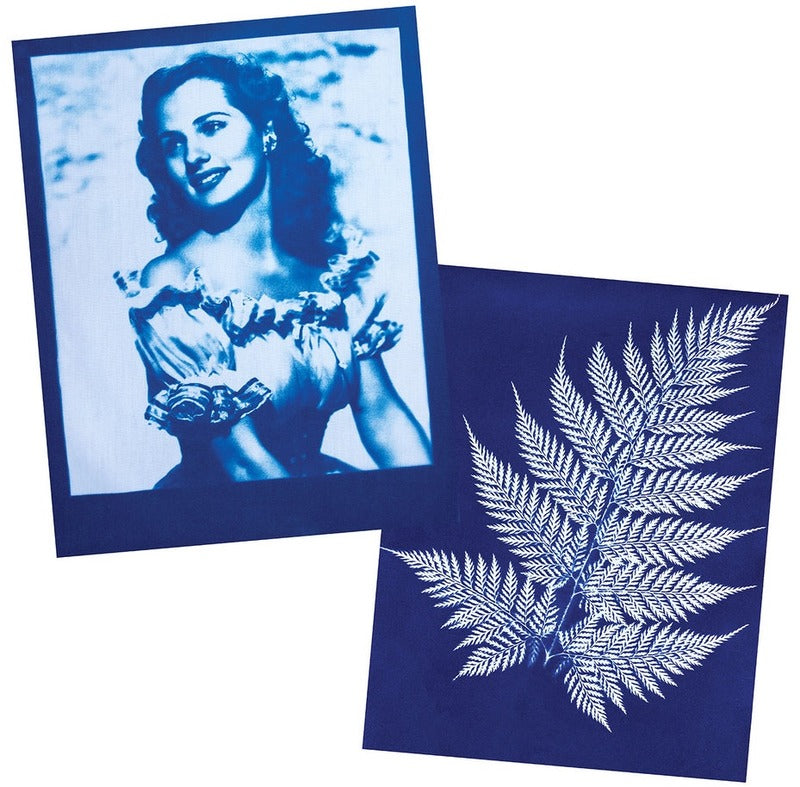 Cyanotype popieriaus jautrinimo šviesai miltelių rinkinys